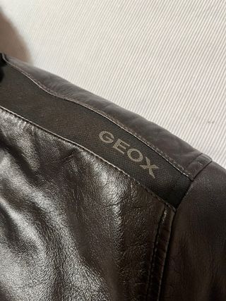 Cazadora Piel Geox Hombre Marrón