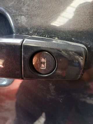 BOMBIN PUERTA DELANTERA IZQUIERDA OPEL INSIGNIA BERLINA