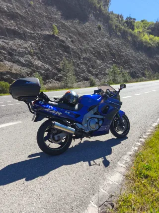 Kawasaki ZZR600 1991 A2