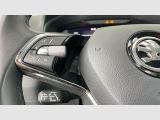 Skoda Karoq 2.0 TDI 110kW (150CV) DSG 4X4 Ambition