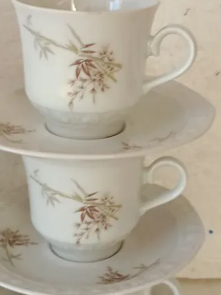 Servizio 6 Tazze Porcellana con Piattini