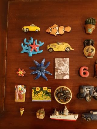 Set 33 calamite decorative