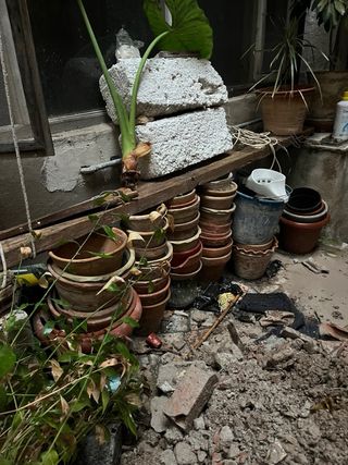 Decine di vasi, ascolto offerte