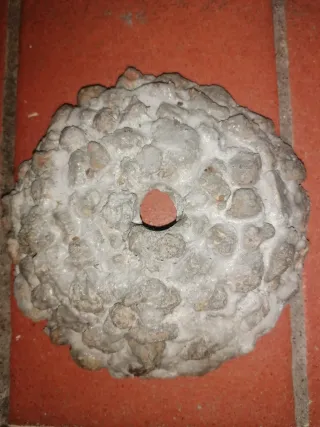 Ciotola per bonsai/kokedama in cemento e pomice