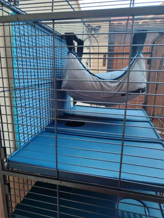 Jaula Ica 60 Grande