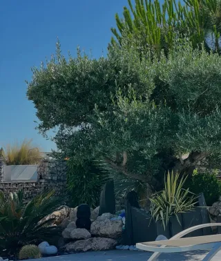 Servicio de jardinería profesional