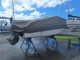Barco Rio 550 Cruiser con motor Tohatsu