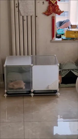 Gabbie per criceti, conigli e cavie