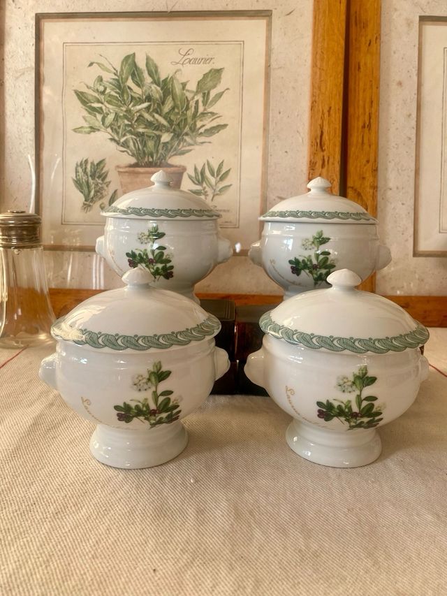 4 terrinas individuales Tognana con tapa –