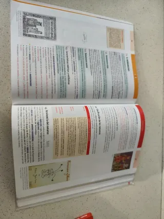 Libro lengua castellana  Bachillerato I