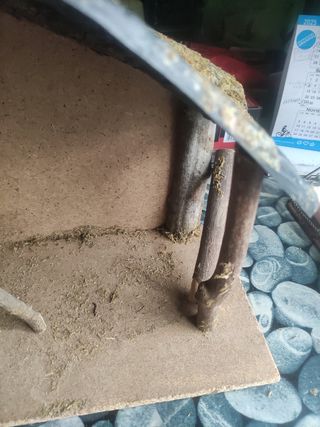 Portal de belén grande