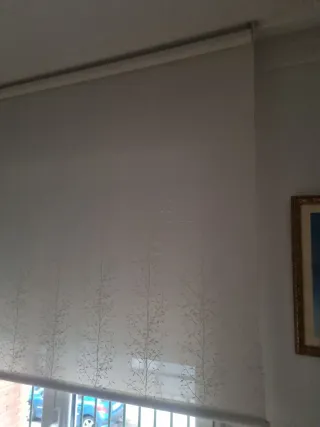 Due tende bianche con rami in bianco