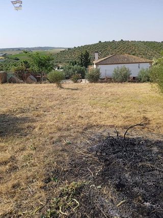 Solar en venta en Arcos de la Frontera