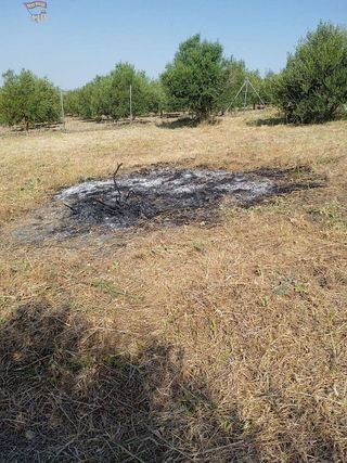 Solar en venta en Arcos de la Frontera