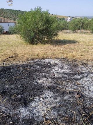 Solar en venta en Arcos de la Frontera