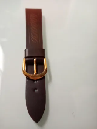 Correa Reloj Caballero 20mm Marrón Hebilla Dorada