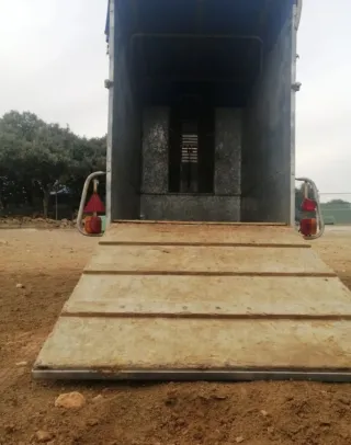 Remolque ganadero con rampa Van