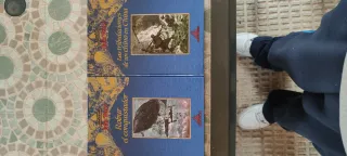 Colección libros Julio Verne