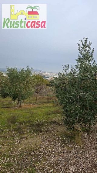 Terreno en venta en Bailén