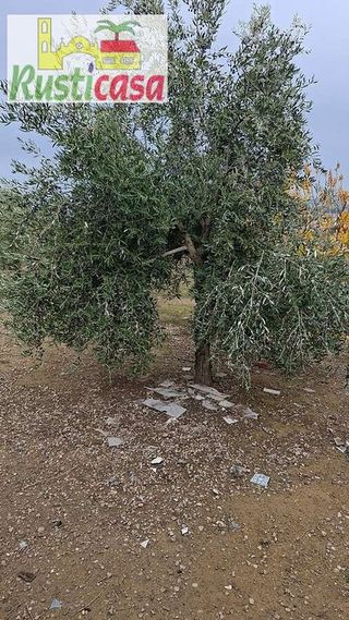 Terreno en venta en Bailén