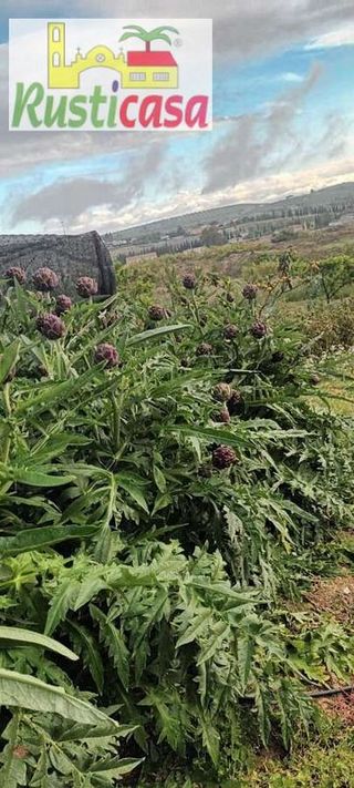 Terreno en venta en Bailén