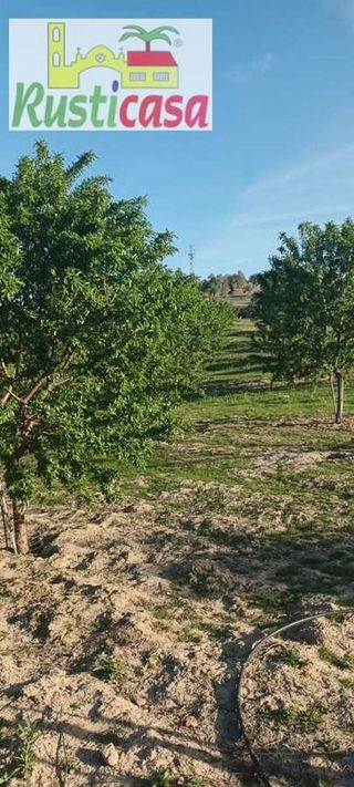 Terreno en venta en Bailén