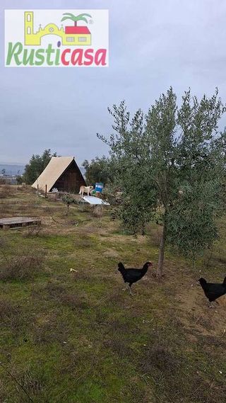 Terreno en venta en Bailén