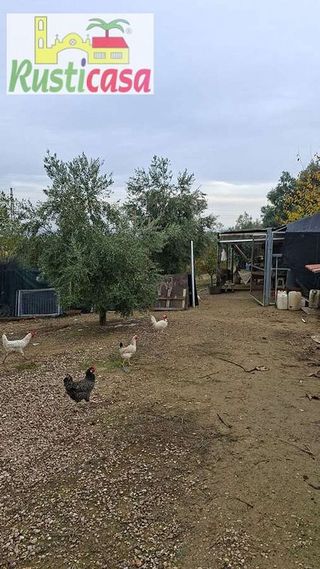 Terreno en venta en Bailén