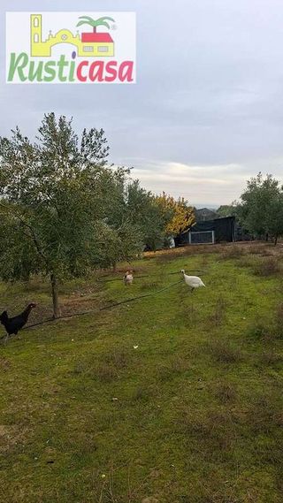 Terreno en venta en Bailén