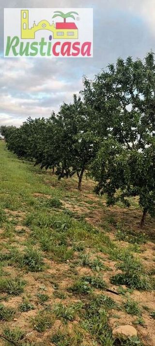 Terreno en venta en Bailén