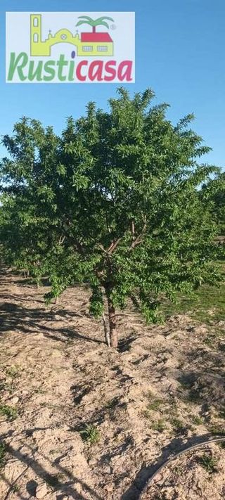 Terreno en venta en Bailén