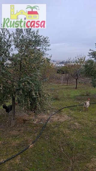 Terreno en venta en Bailén