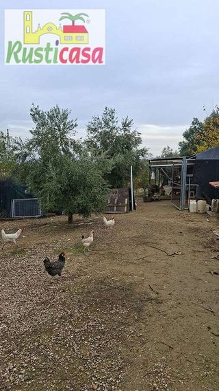 Terreno en venta en Bailén