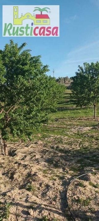 Terreno en venta en Bailén