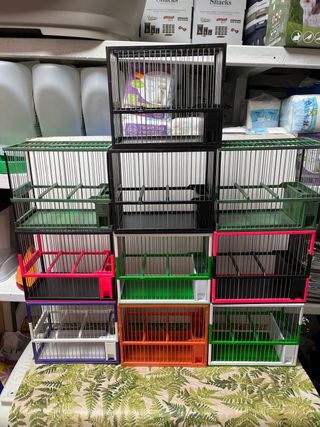 Confezione da 10 gabbie C-2