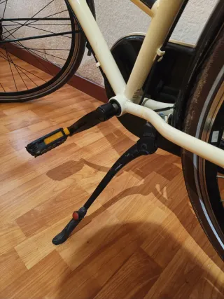 Bicicleta urbana estilo holandés con cesta