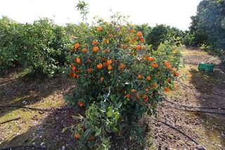Casa en venta en Ondara