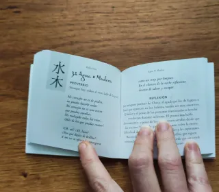 Tao meditación Zhao Xiaomin