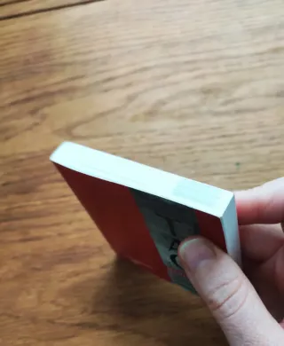 Tao meditación Zhao Xiaomin