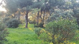 Casa rural en venta en El Higuerón en Córdoba