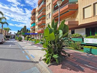 Local comercial en venta en Almuñecar en Almuñécar