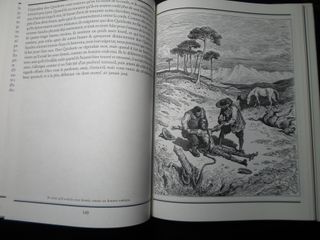 Don Quijote Gustave Doré 120 Grabados