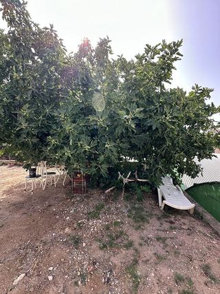 Casa adosada en venta en Pulpí pueblo en Pulpí