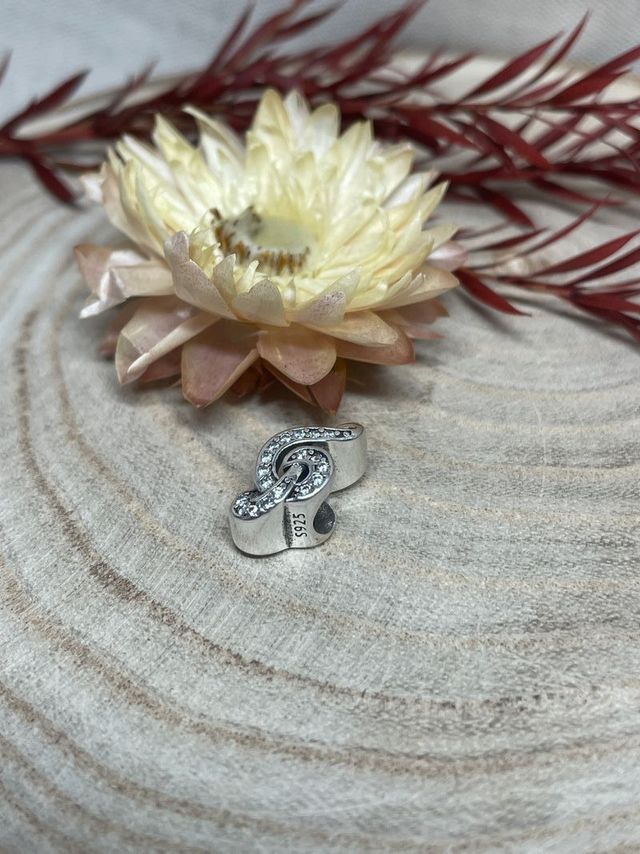 ✨ Charm Musica Clave de Sol