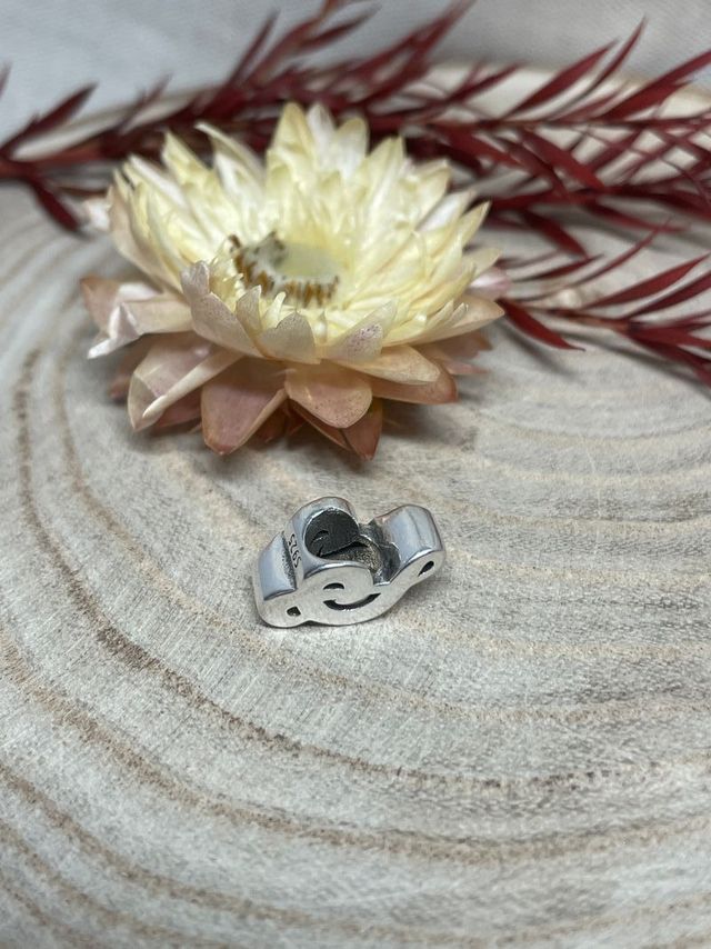 ✨ Charm Musica Clave de Sol