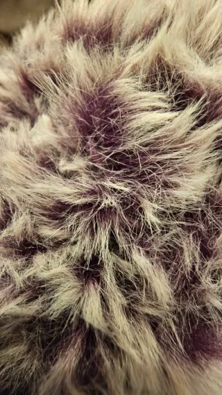 Gorro lana pelo beige y morado