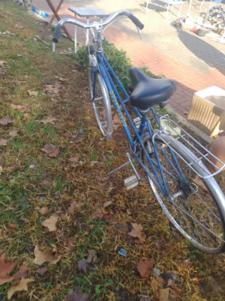 Bicicleta Clásica Azul