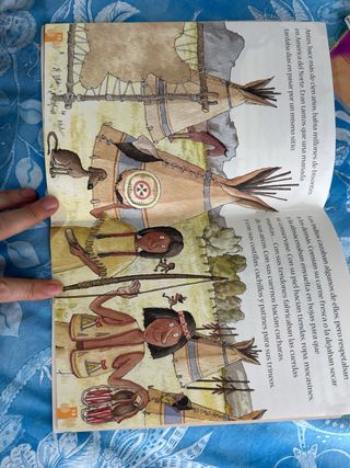 Mupal bisonte Americano