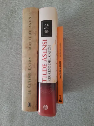LOTE MATILDE ASENSI.