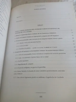 Lucus Augusti, urbs romana